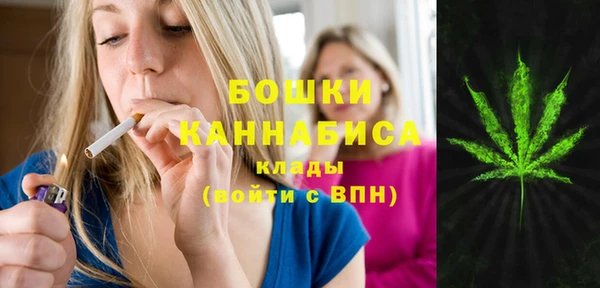 ГАЛЛЮЦИНОГЕННЫЕ ГРИБЫ Переславль-Залесский