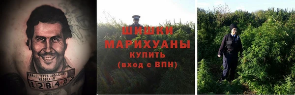 ГАЛЛЮЦИНОГЕННЫЕ ГРИБЫ Переславль-Залесский